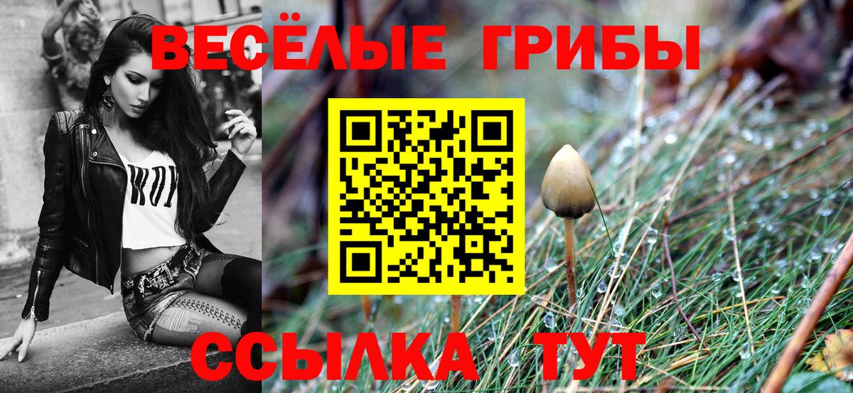 Псилоцибиновые грибы мухоморы Шарыпово