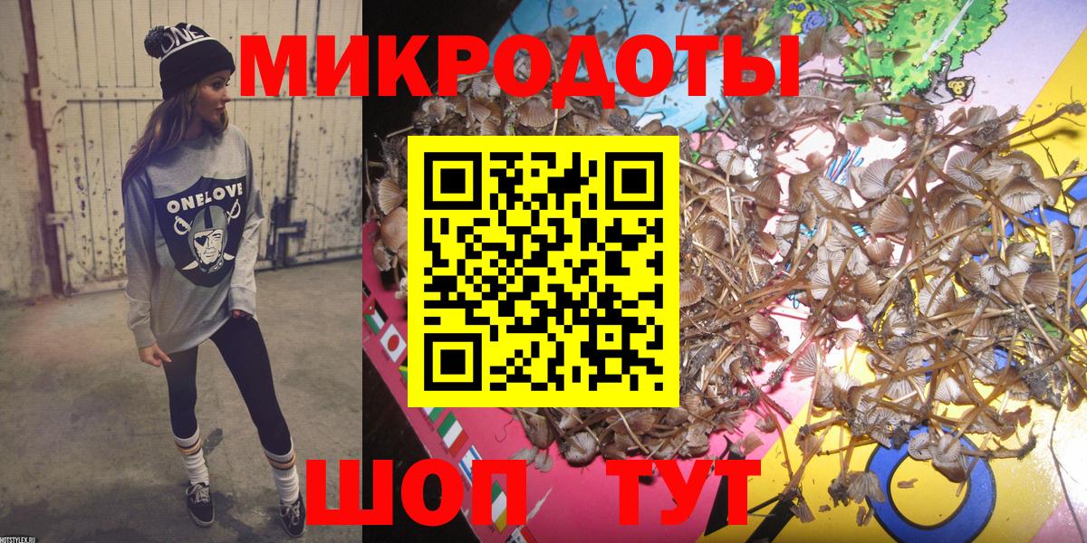 Псилоцибиновые грибы прущие грибы  где продают наркотики  Шарыпово  Вход с VPN 